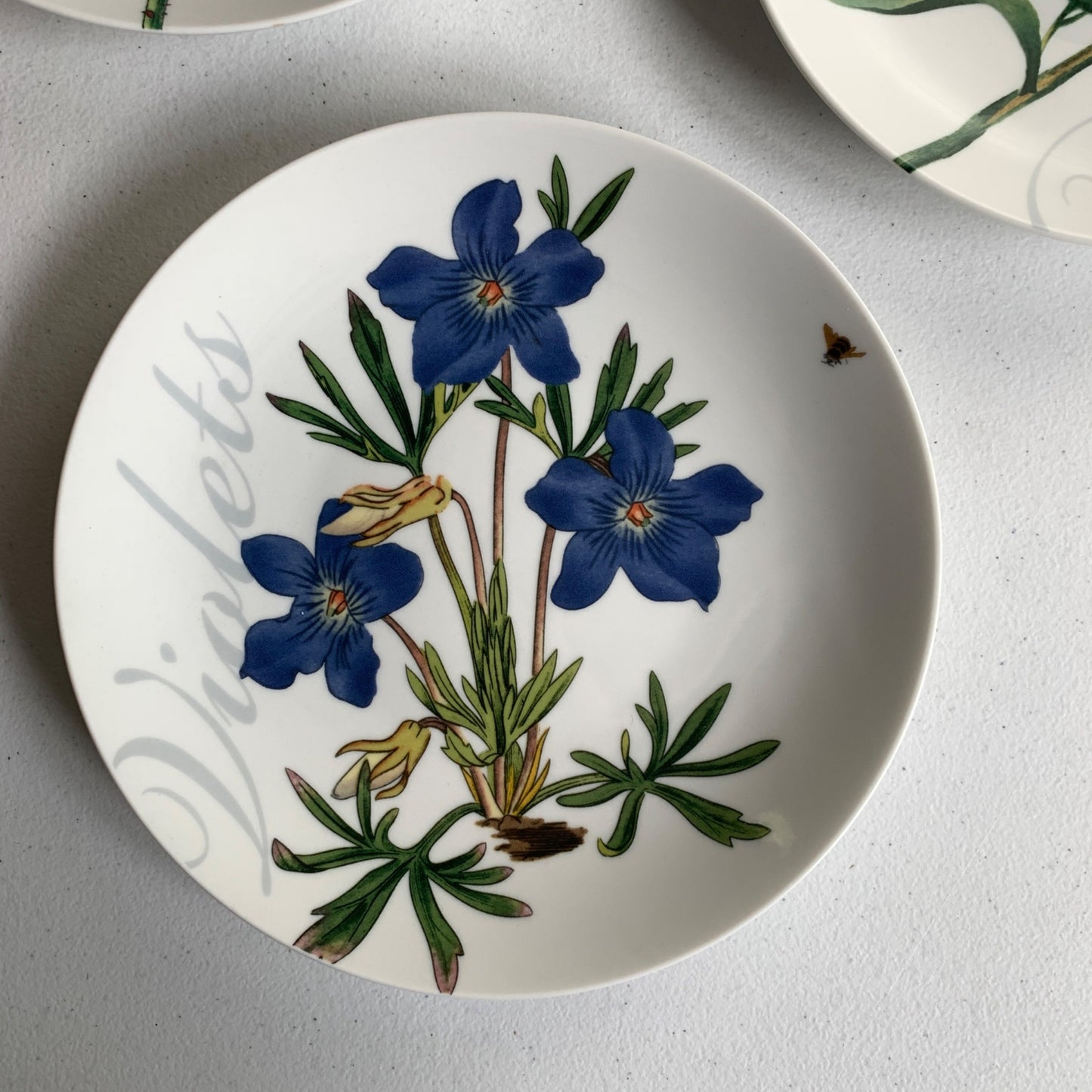 Pier 1 Imports Floral Salad Luncheon Plates