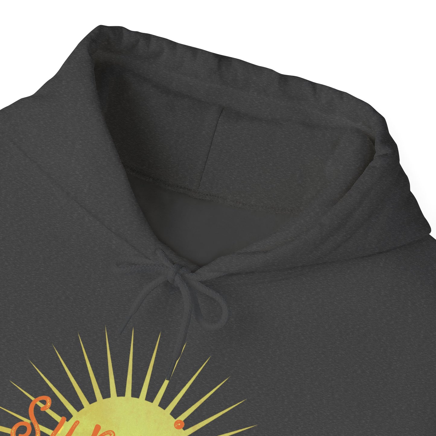 Sunrise Pickers Vintage Unisex Hooded Sweatshirt