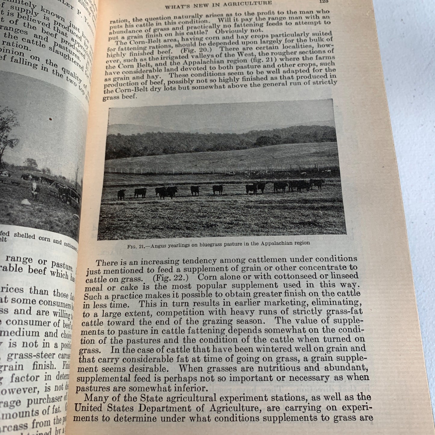 1927 Yearbook of Agriculture Green Hardcover Book Vintage