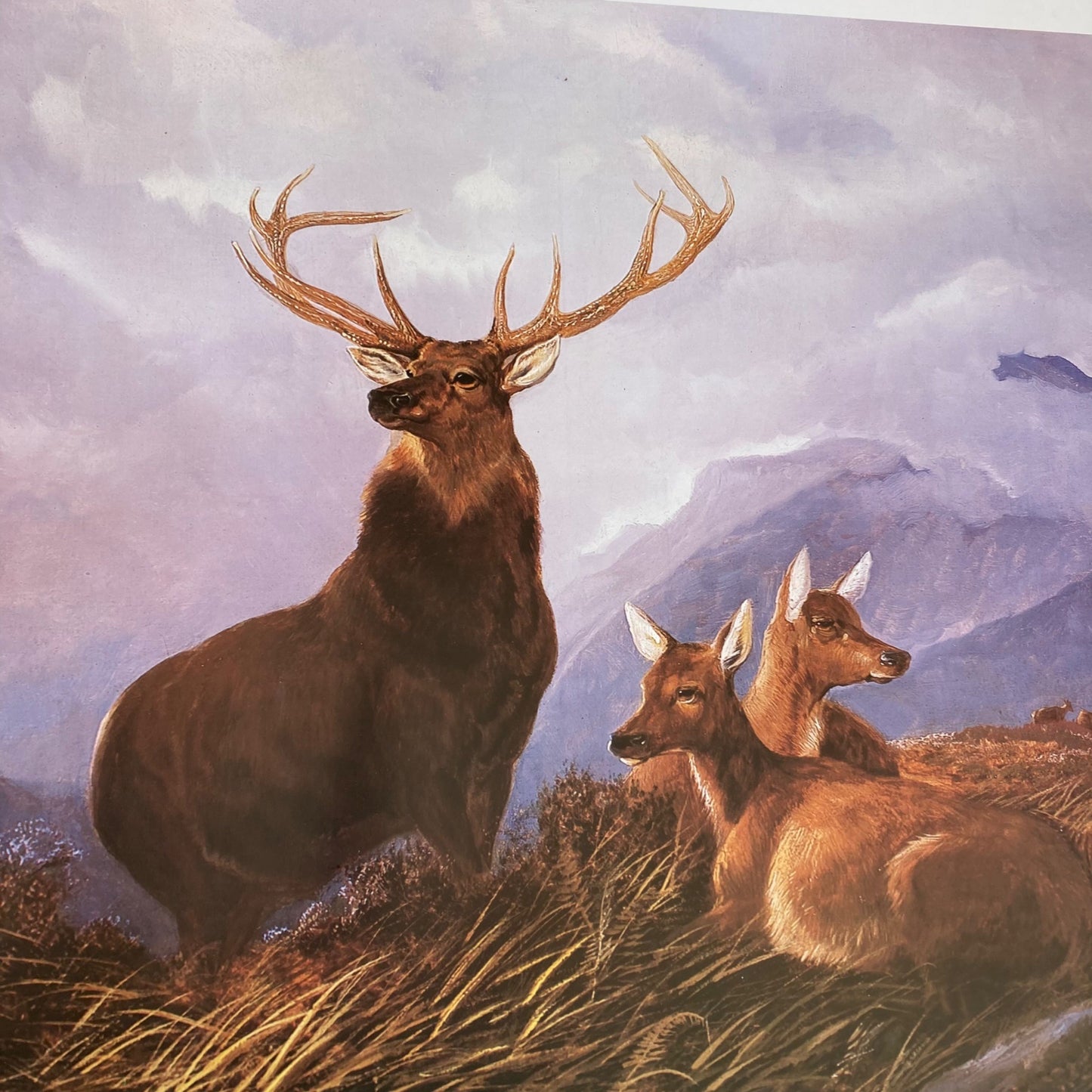 Vintage 1981 Arthur F. Tait "Alert" Elk Print 23x34" New York Graphic BYU