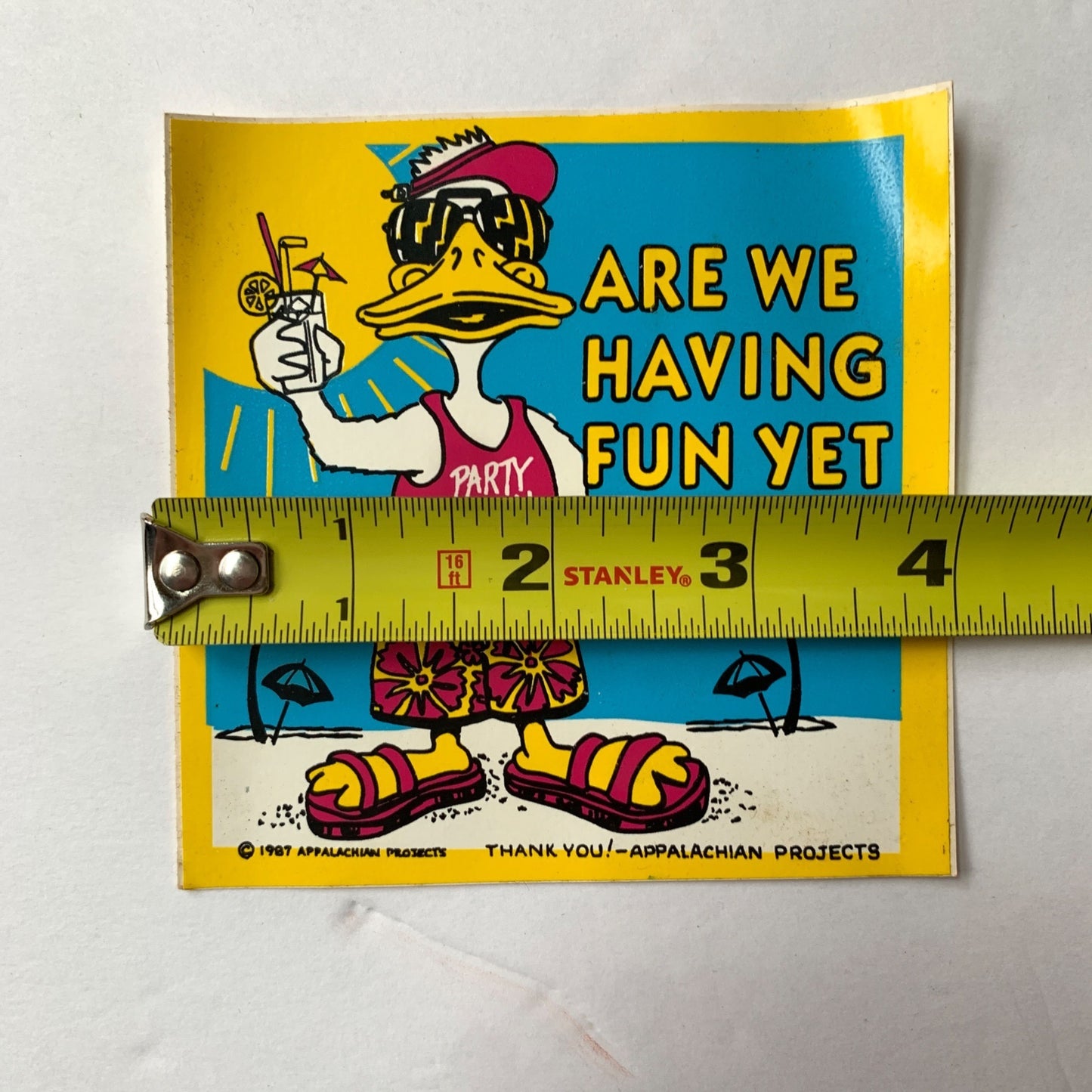 1987 Appalachian Projects Are We Having Fun Yet 4" Sticker Unused Vintage