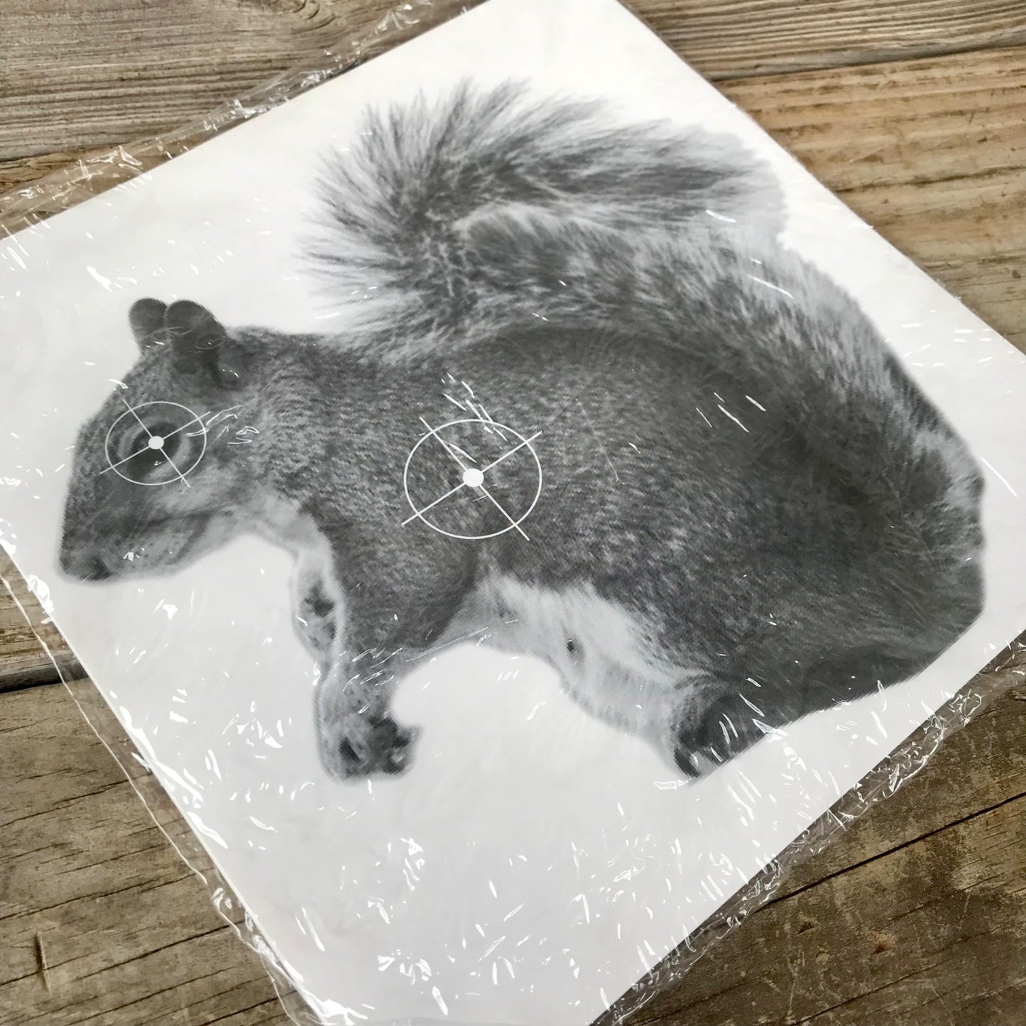 Vintage Squirrel Shooting Targets Pack of 25 NOS & SEALED! CBF-T100 Paper Black & White