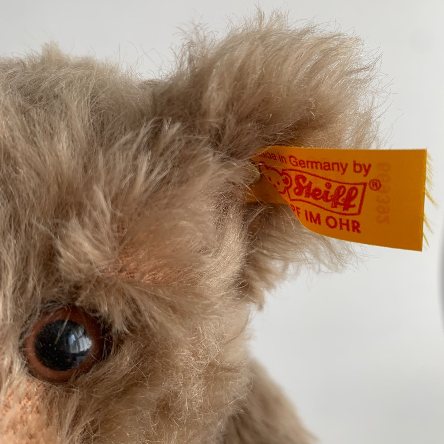 Steiff Bear of the Year 2006 with Medallion and Tag