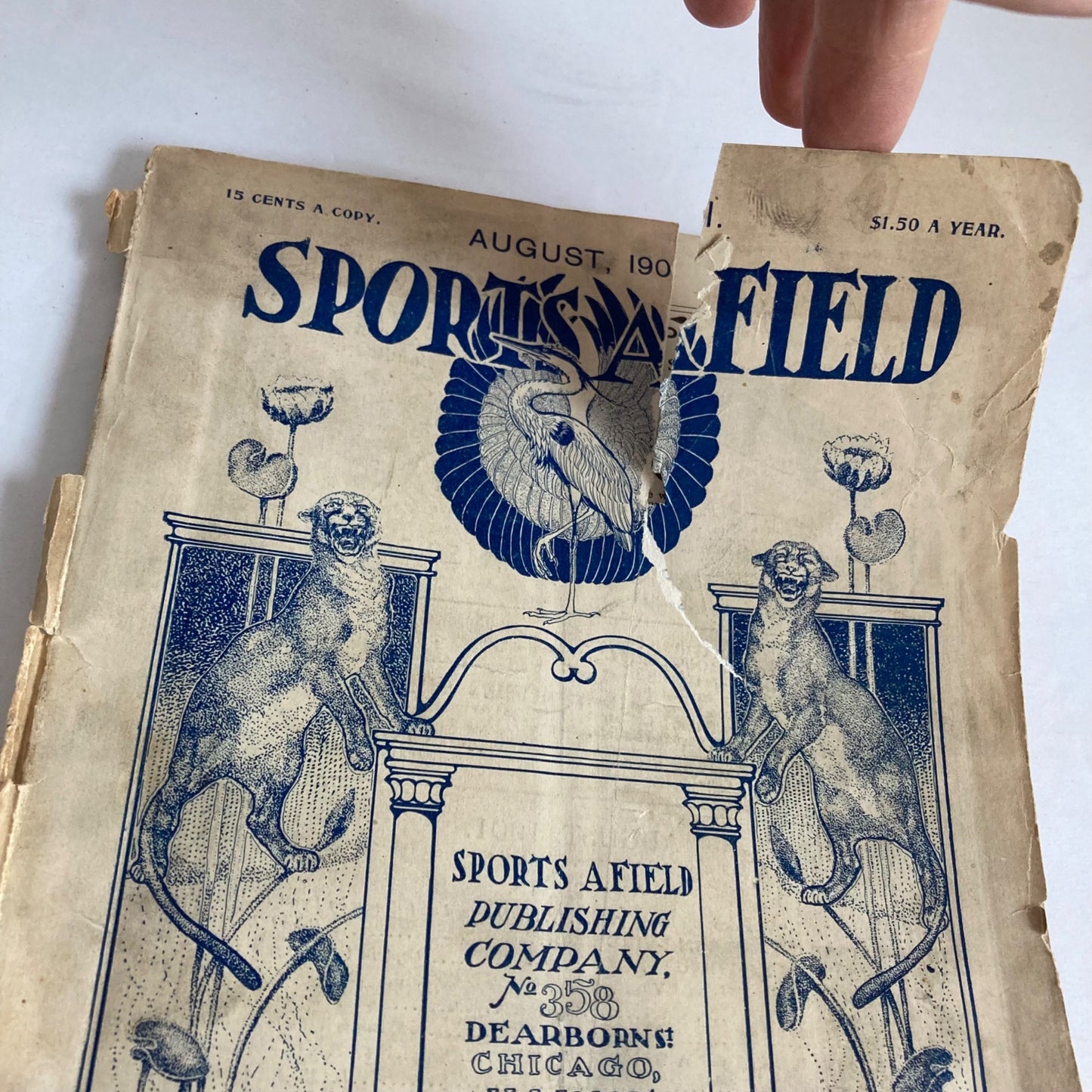 RARE 1901 Sports Afield Magazine August 1901 Antique Hunting Fishing