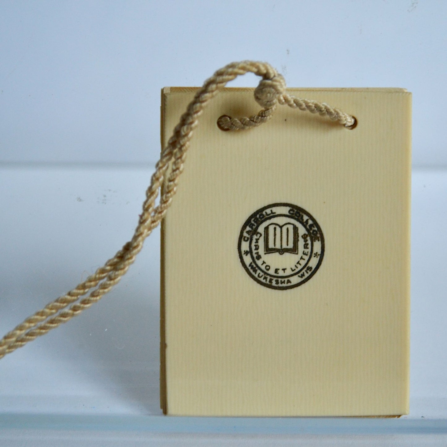 Vintage 1927 Carroll College Junior Promenade Dance Card