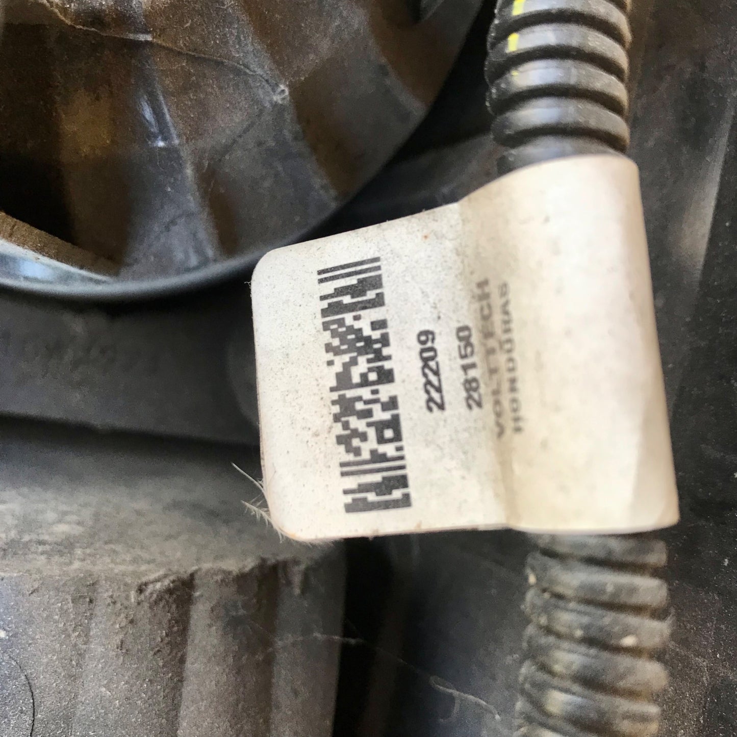 Magna Taillight Assembly Mopar W16W/921