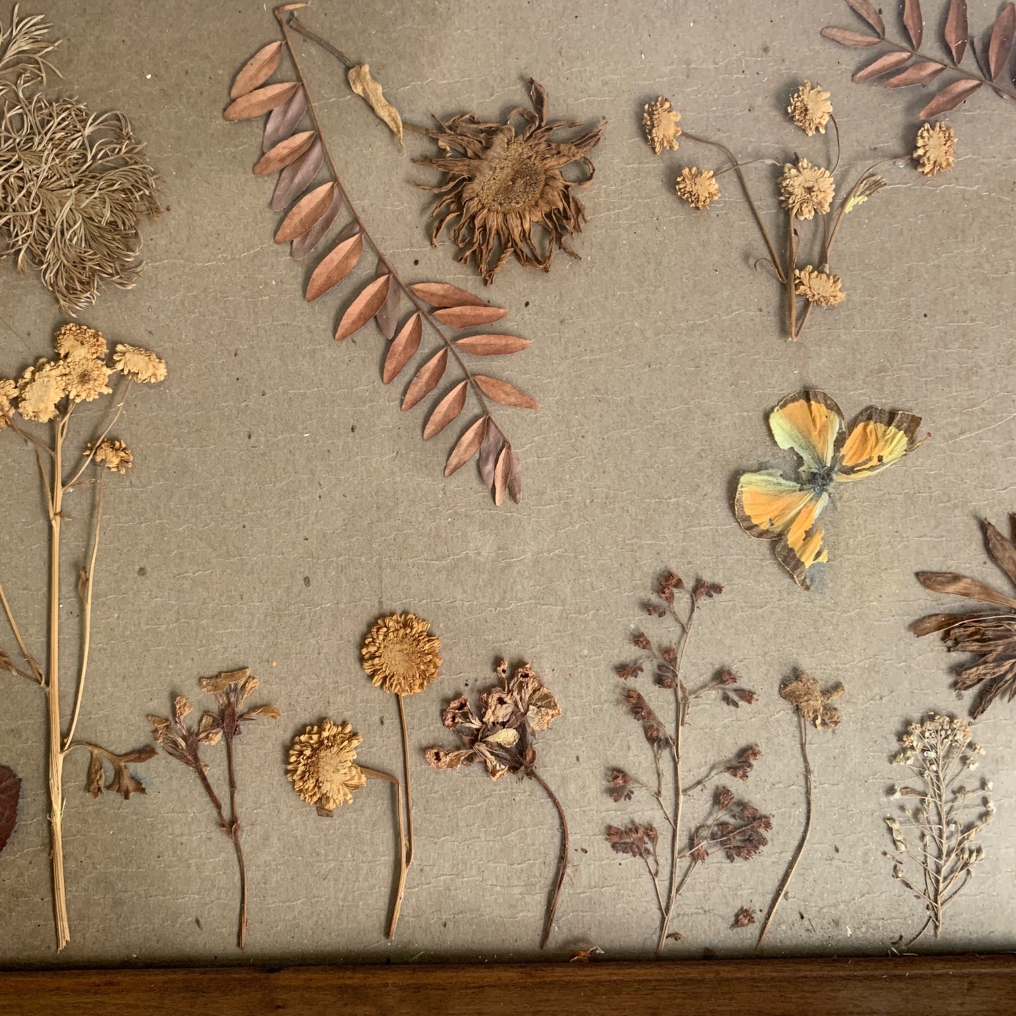 Vintage Wood Handled Serving Tray Pressed Flowers Butterfly Glass 1960s