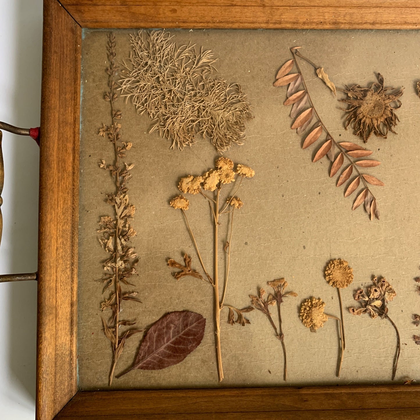 Vintage Wood Handled Serving Tray Pressed Flowers Butterfly Glass 1960s