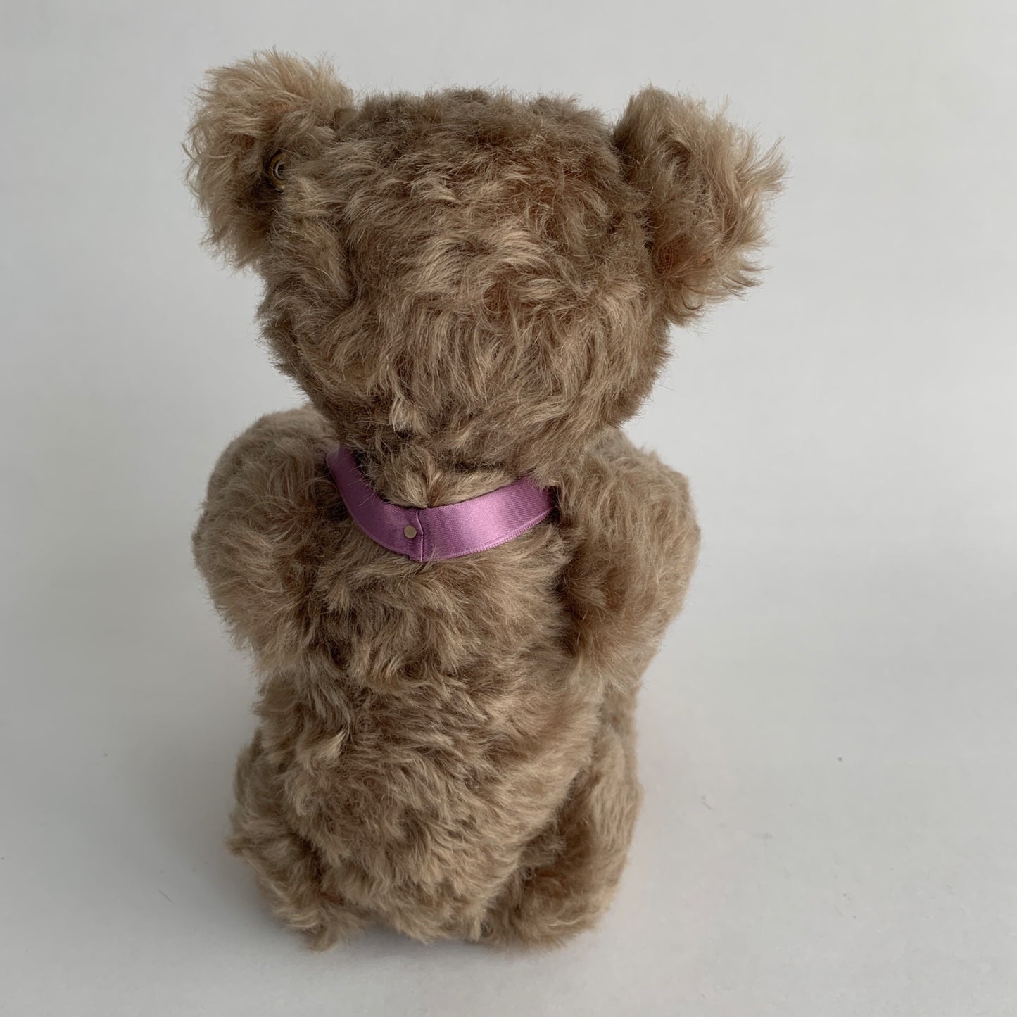 Steiff Bear of the Year 2006 with Medallion and Tag