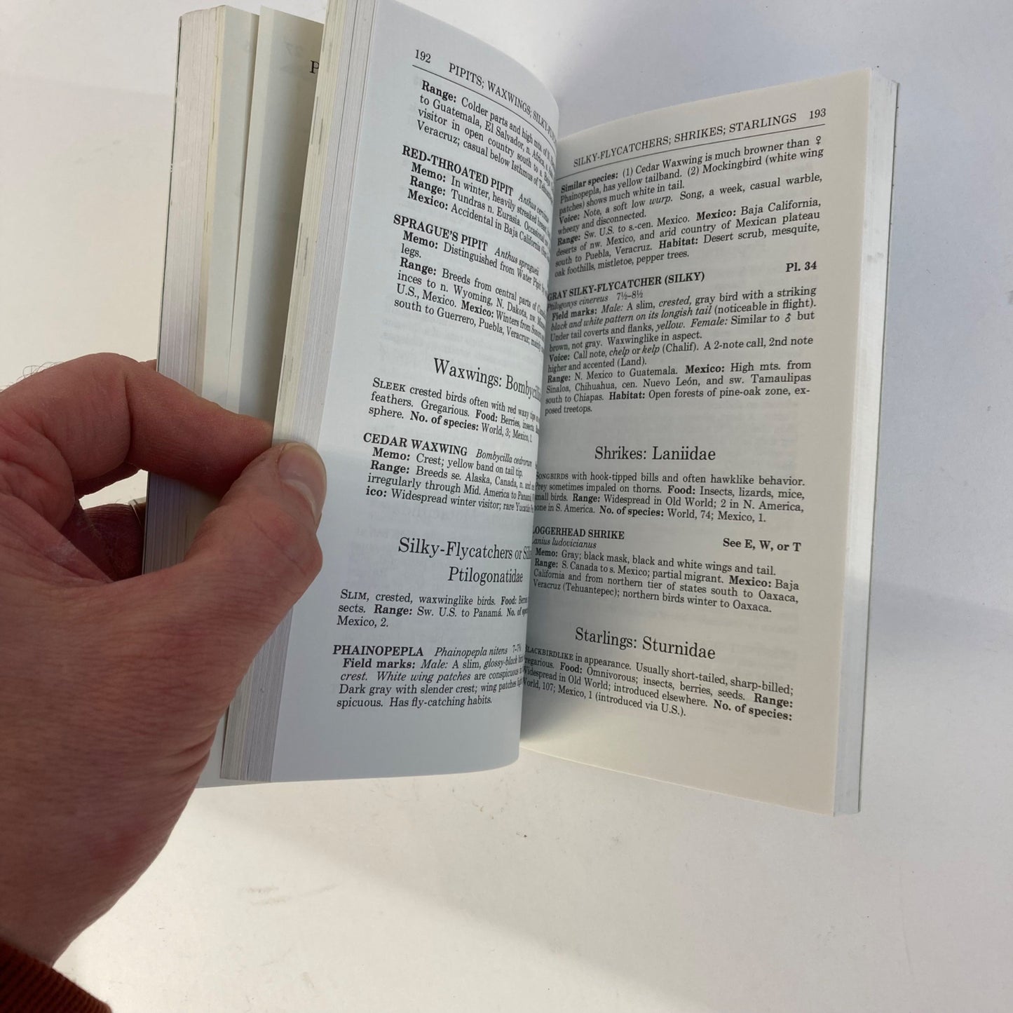 Vintage Peterson Field Guides Mexican Birds Book Copyright 1973