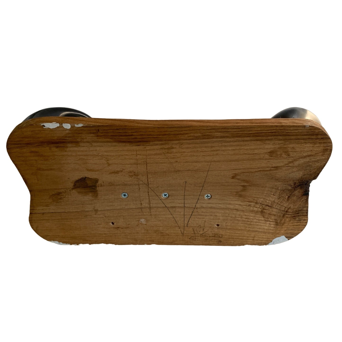 Animal Horn Bull Buffalo ? Mounted 18" Width