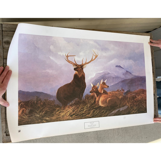 Vintage 1981 Arthur F. Tait "Alert" Elk Print 23x34" New York Graphic BYU