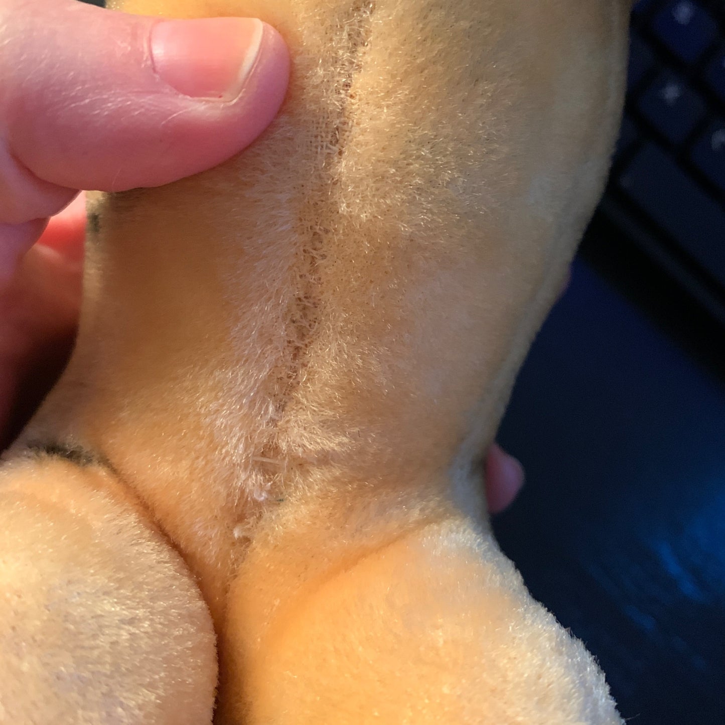 Kamar? Mohair Stuffed Tiger Vintage Toy Japan