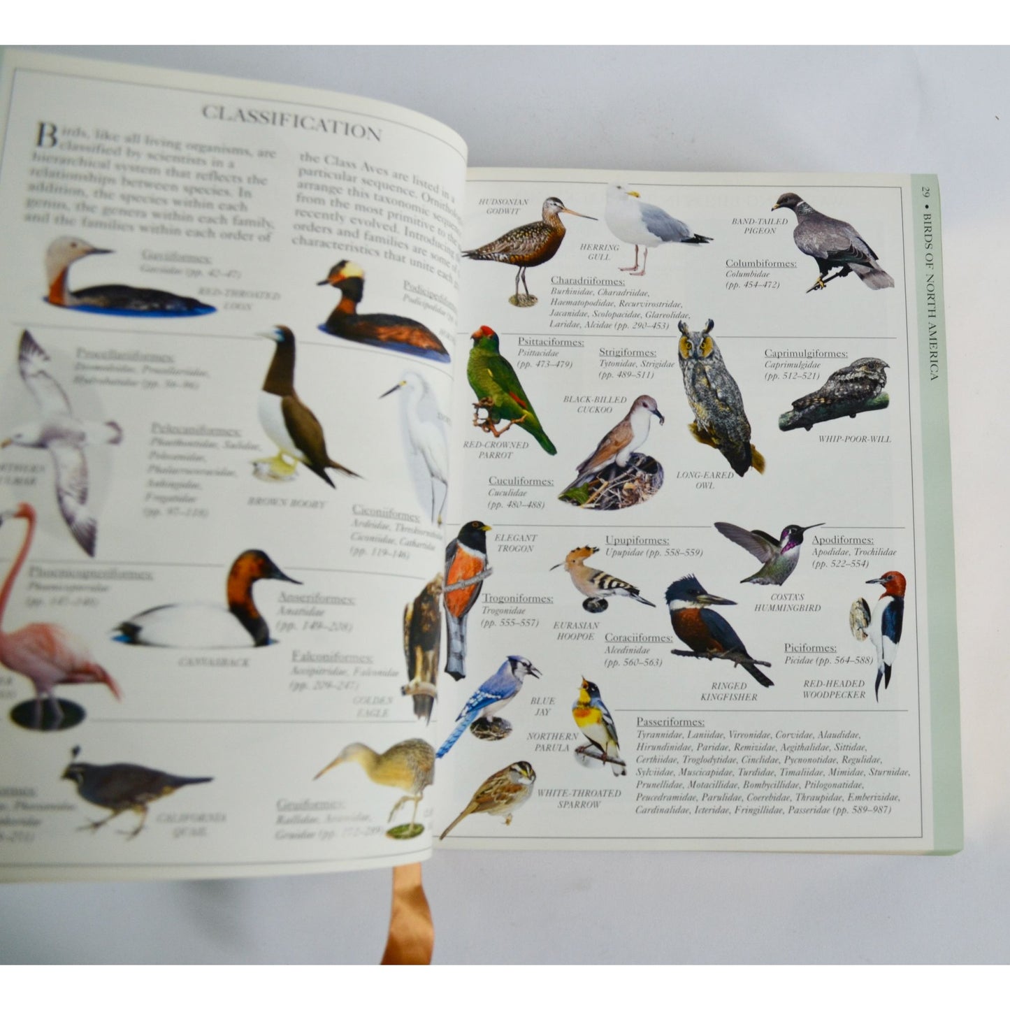 2001 Smithsonian Birds of North America Hardcover Book Gold Tip Pages