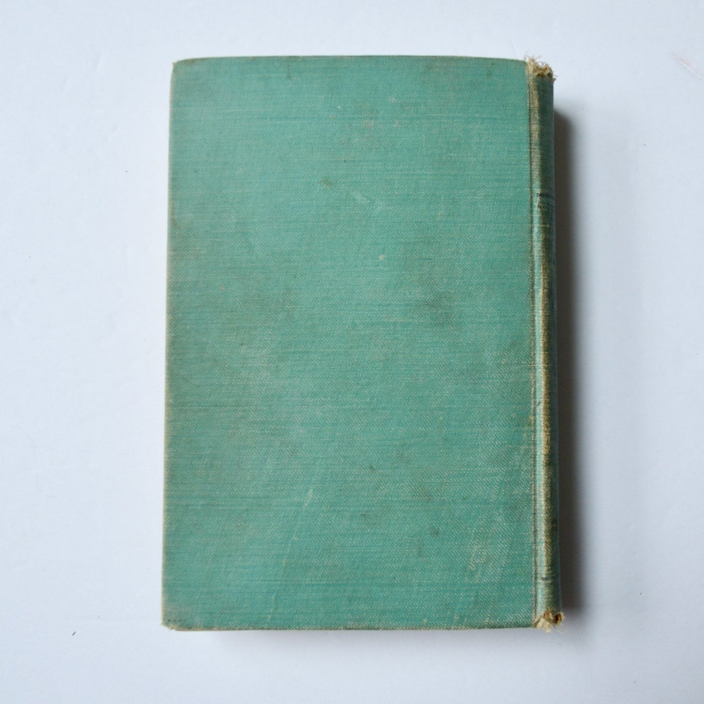 Black Beauty Anna Sewell Mershon Company Antique Early 1900s