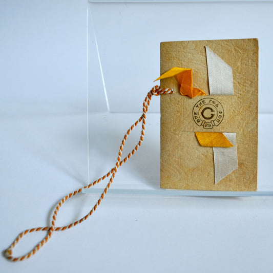 Vintage 1929 Carroll College Fraternity Dance Card