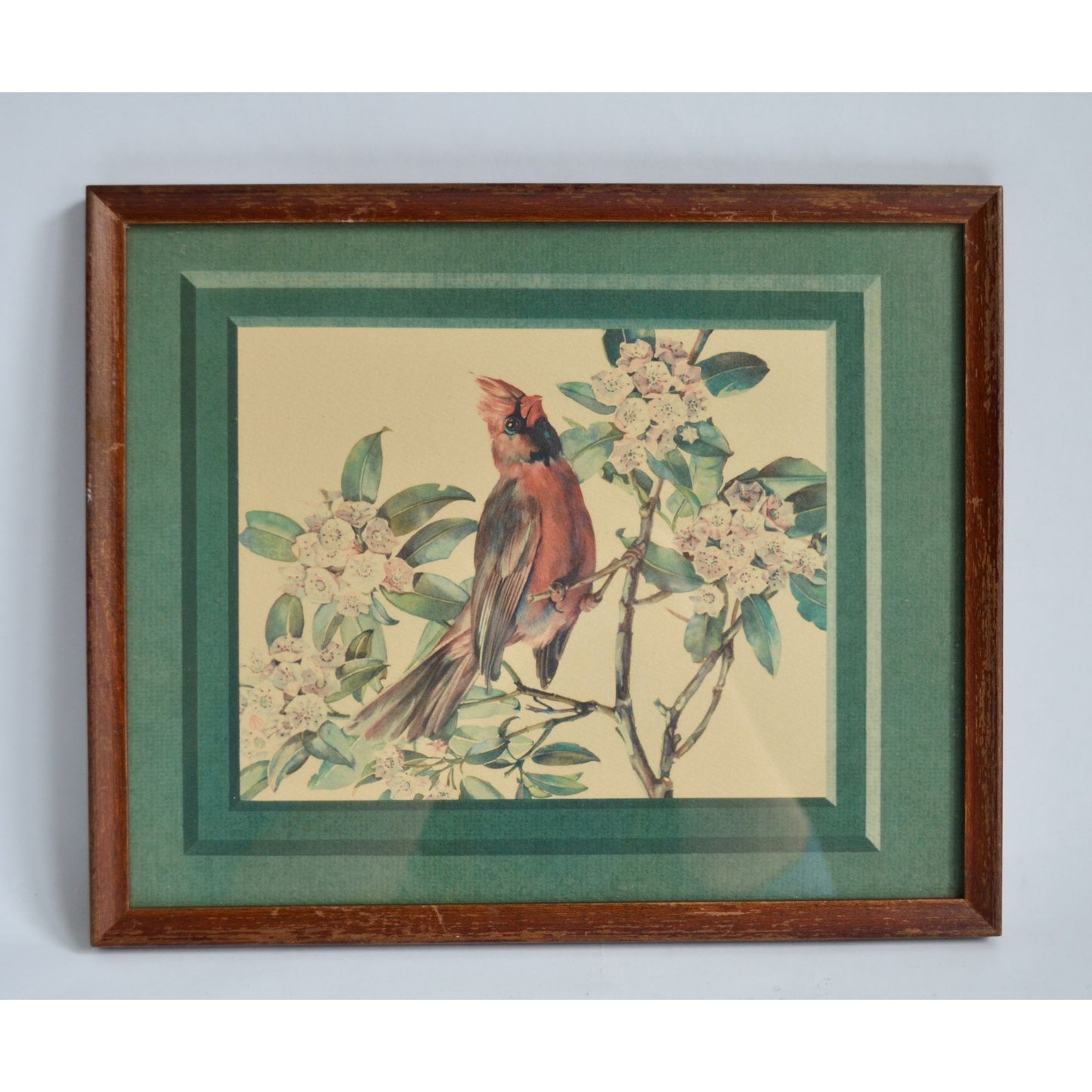 Cecil Golding Cardinal Framed Vintage Print