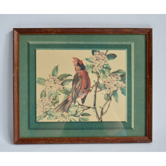 Cecil Golding Cardinal Framed Vintage Print