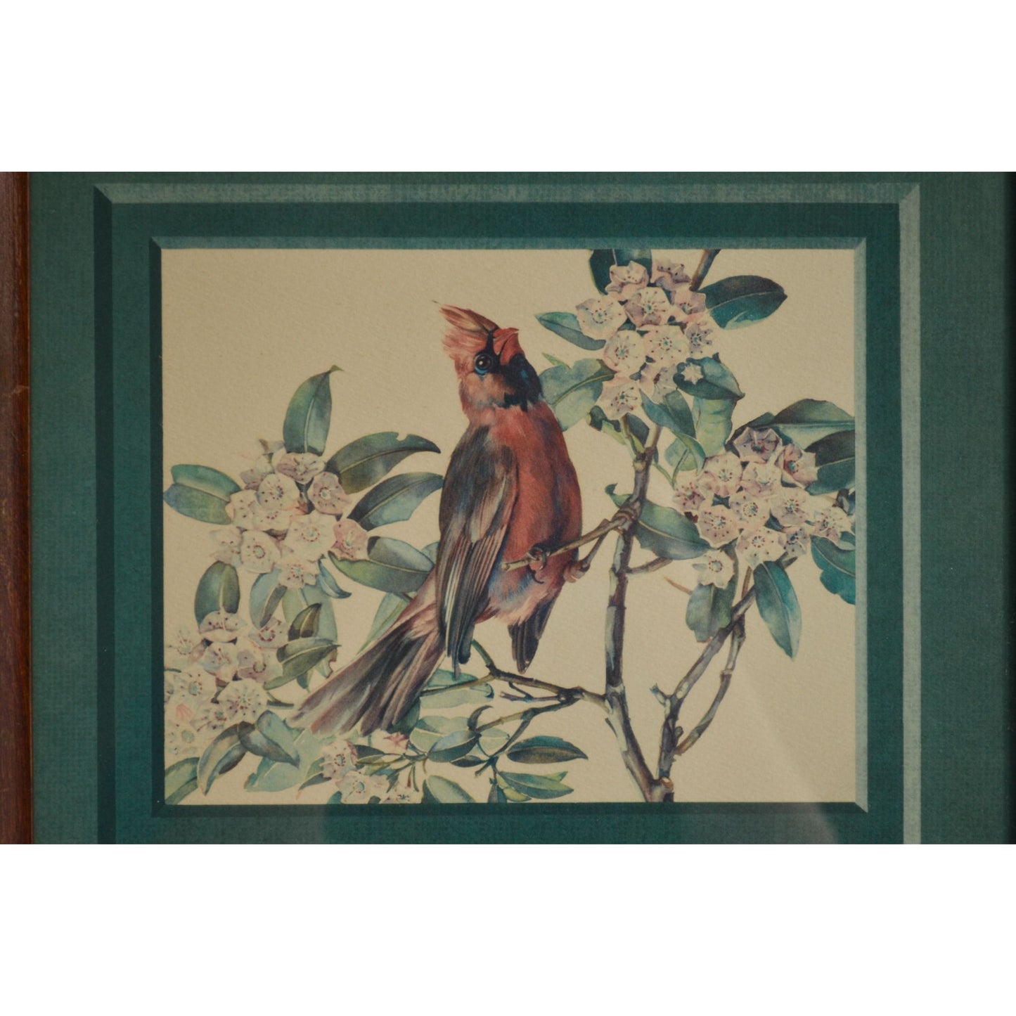 Cecil Golding Cardinal Framed Vintage Print