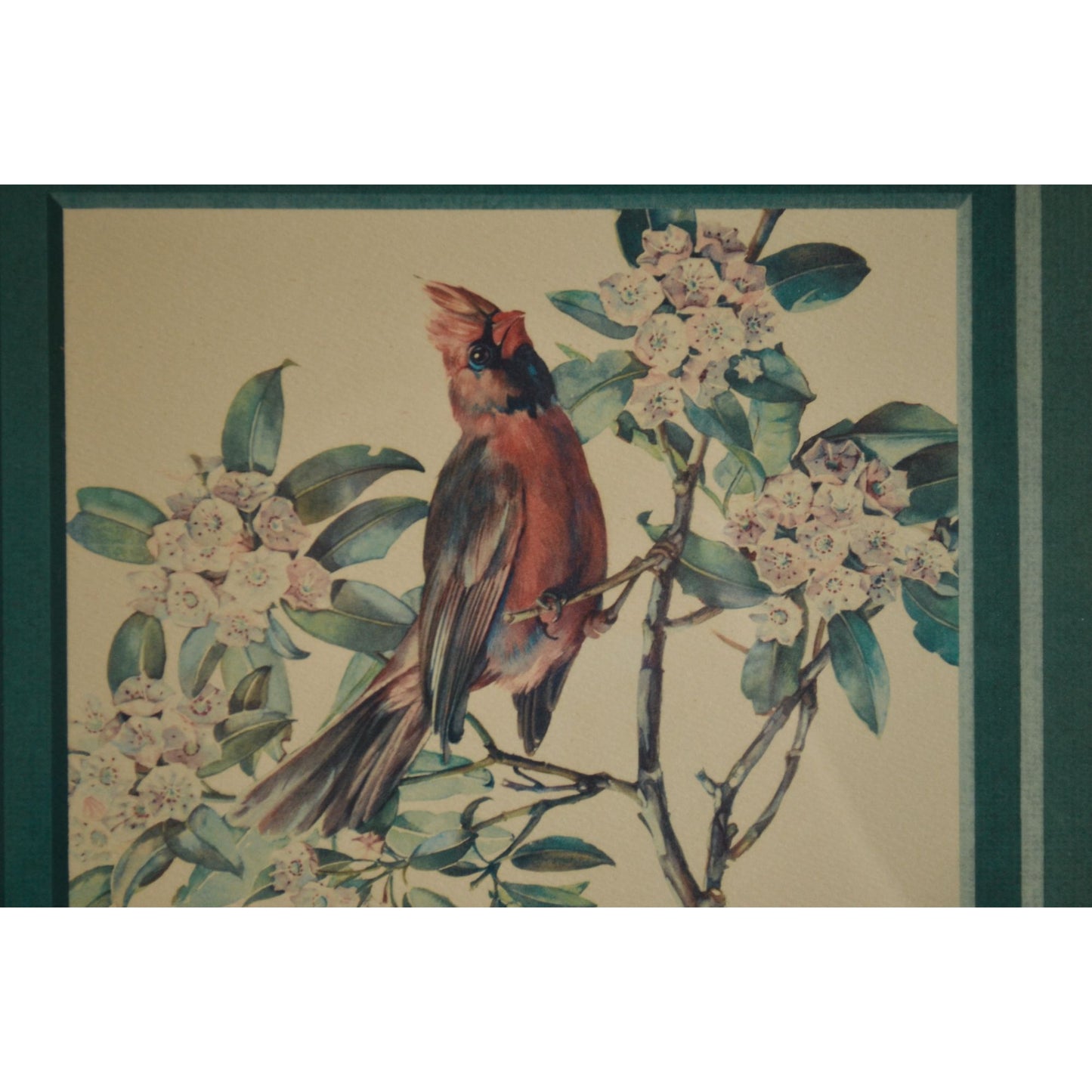 Cecil Golding Cardinal Framed Vintage Print