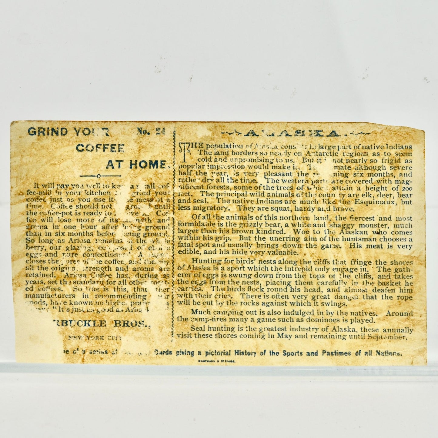 Antique Arbuckle Bros. Coffee Alaska Victorian Trade Card Polar Bears