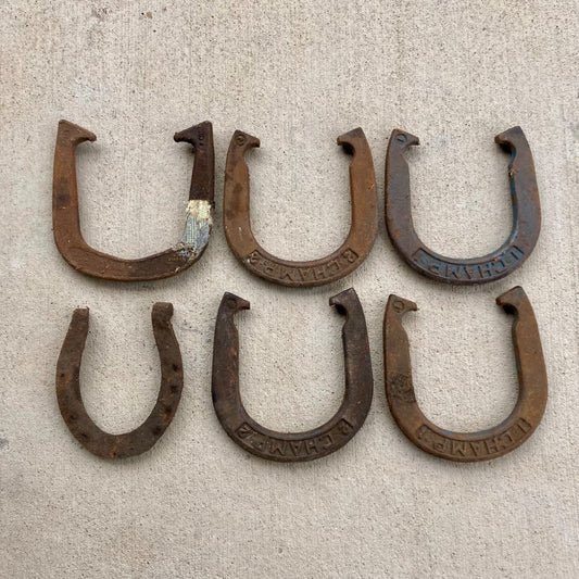 Lot 6 Vintage Horseshoes (4 are Champ Horseshoe Set)