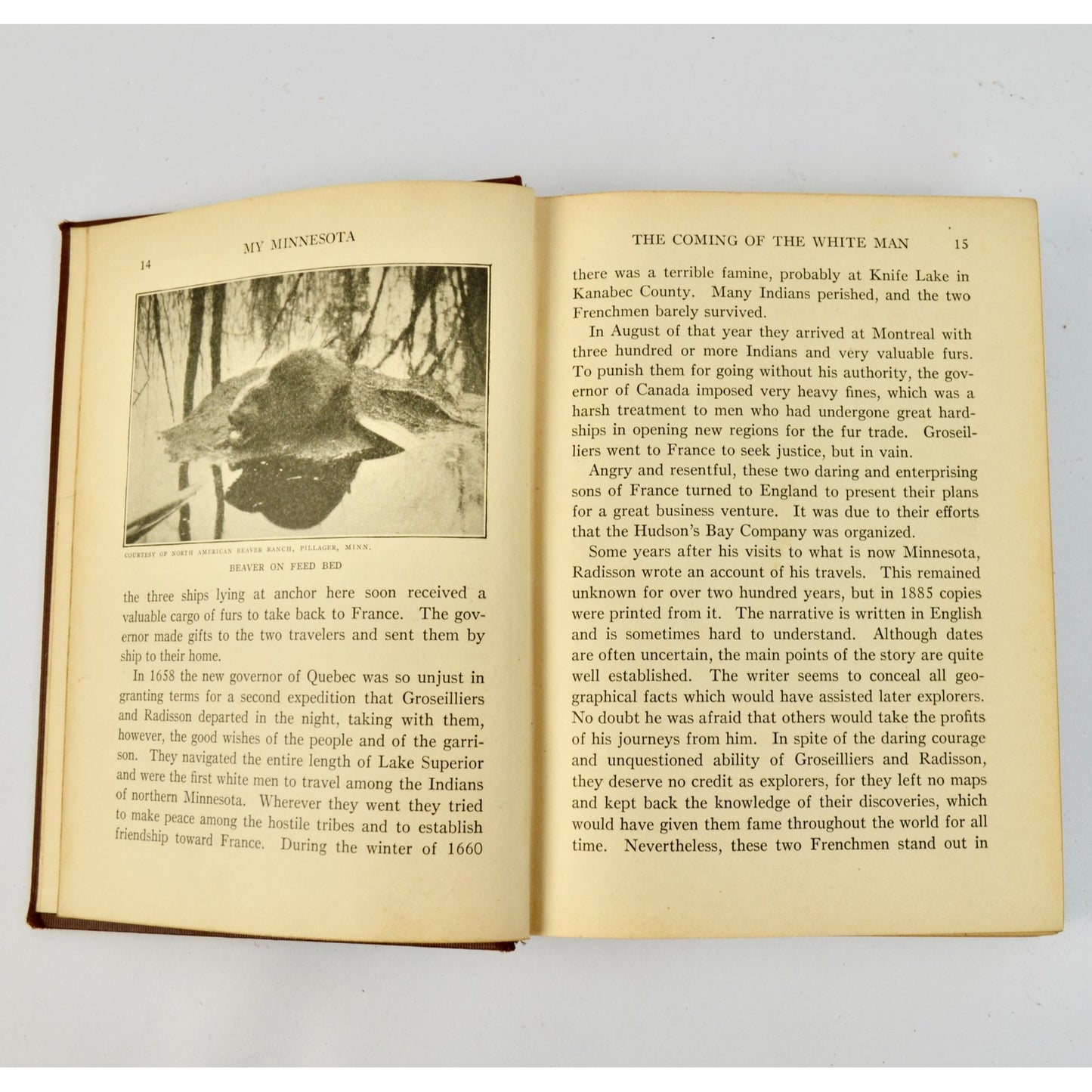 1929 My Minnesota Antoinette Ford Hardcover Book Vintage