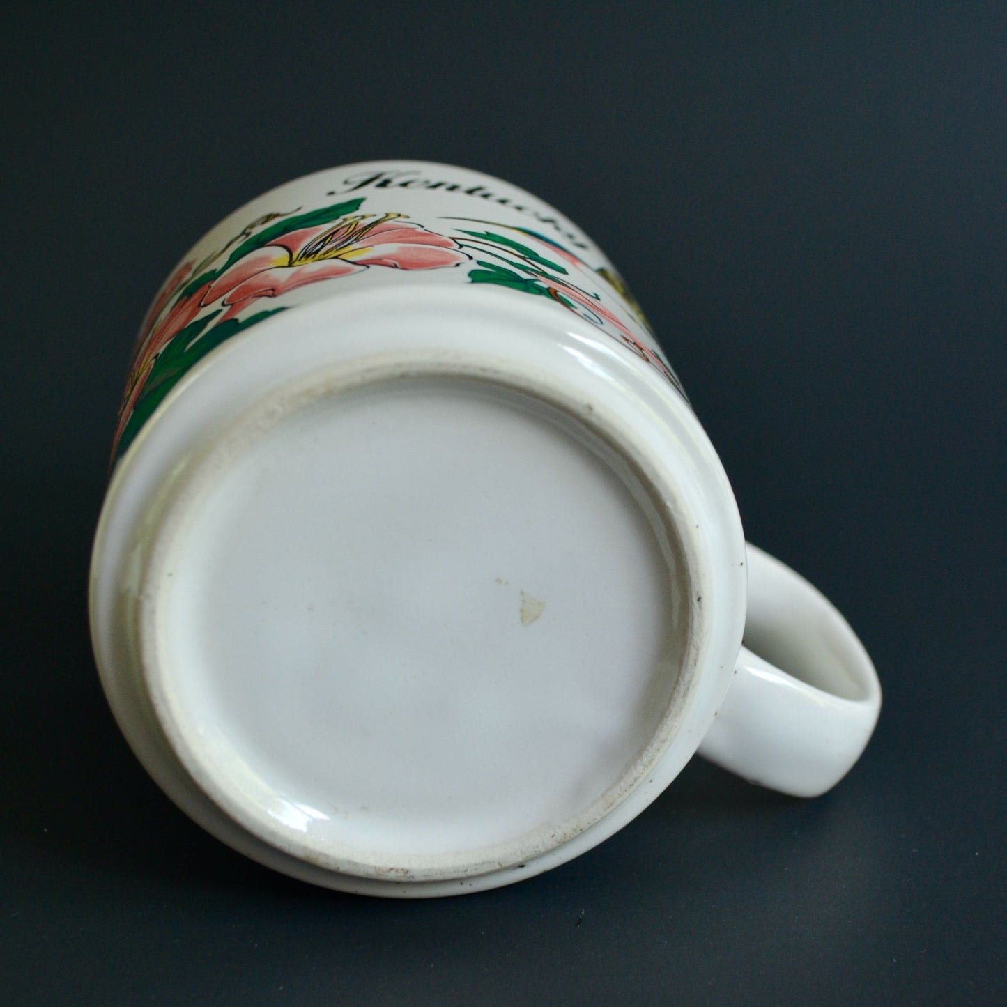 Kentucky Souvenir Coffee Mug Ceramic Hummingbird Vintage Floral
