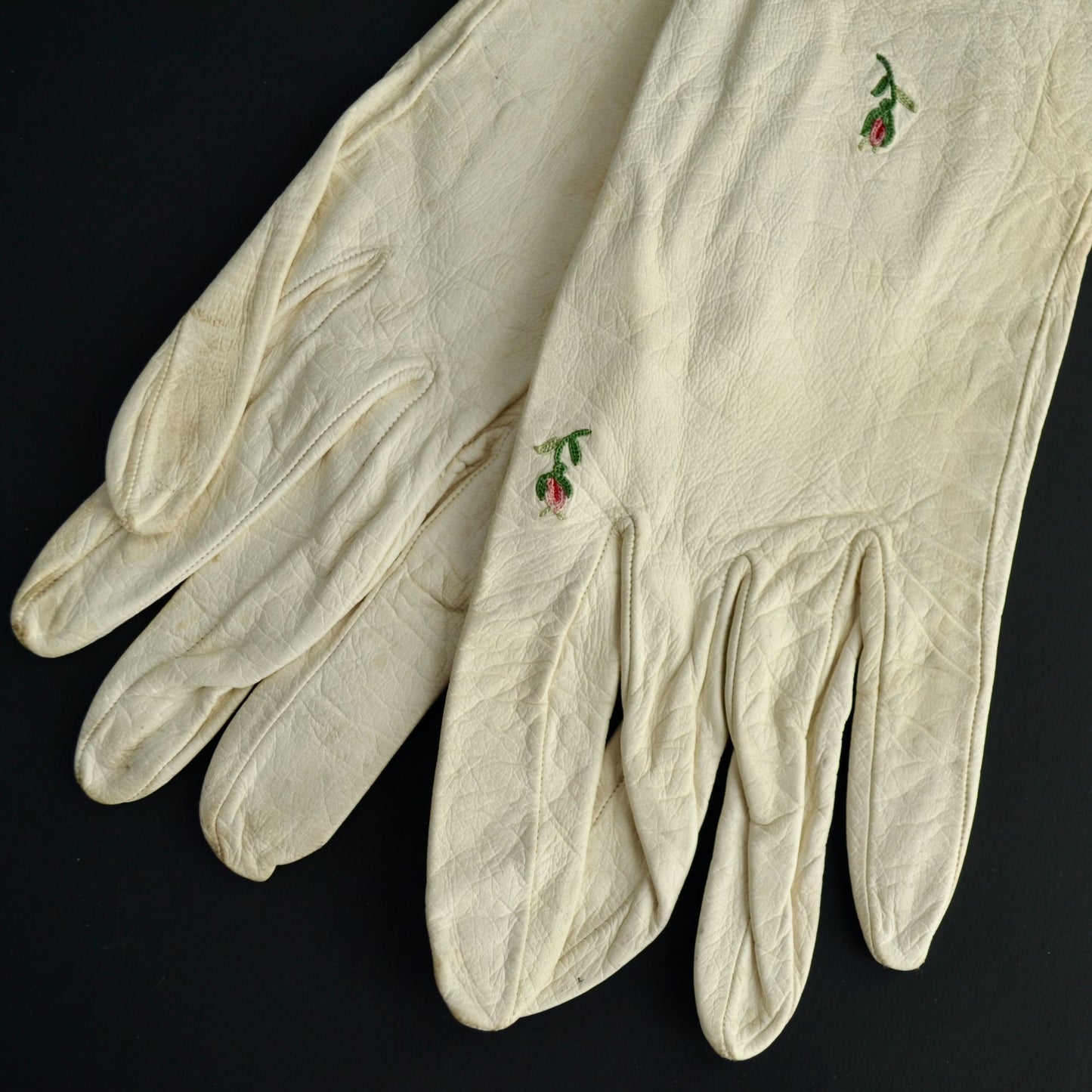 Denise Francelle Paris Leather Embroidered Floral Gloves