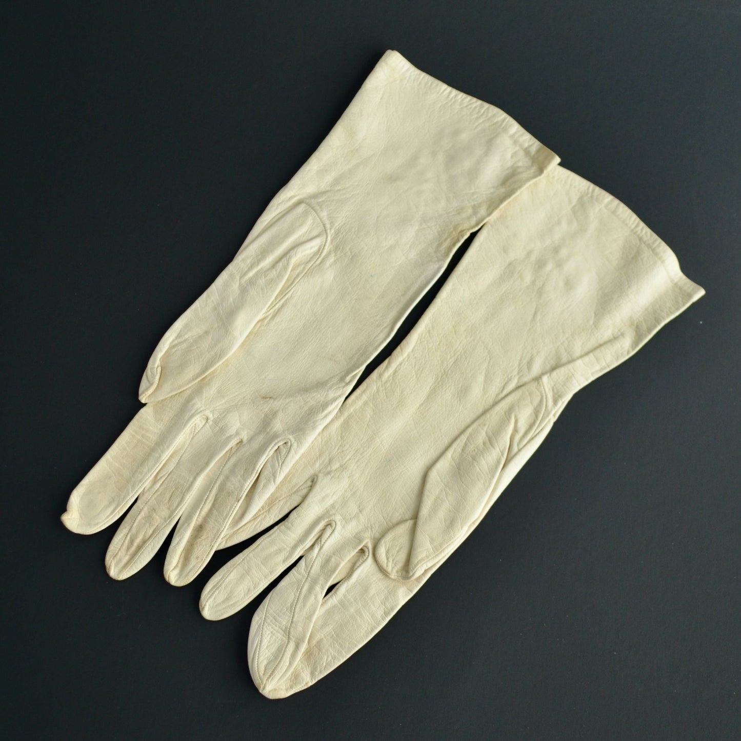 Denise Francelle Paris Leather Embroidered Floral Gloves