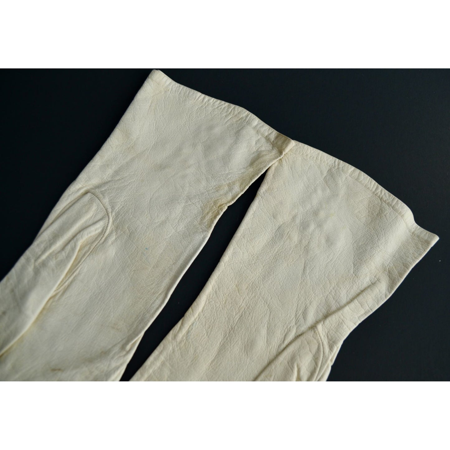 Denise Francelle Paris Leather Embroidered Floral Gloves