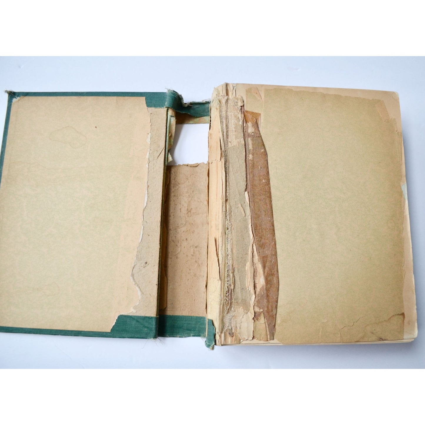 1900 Twentieth Century History of America and our Island Possessions Antique Book