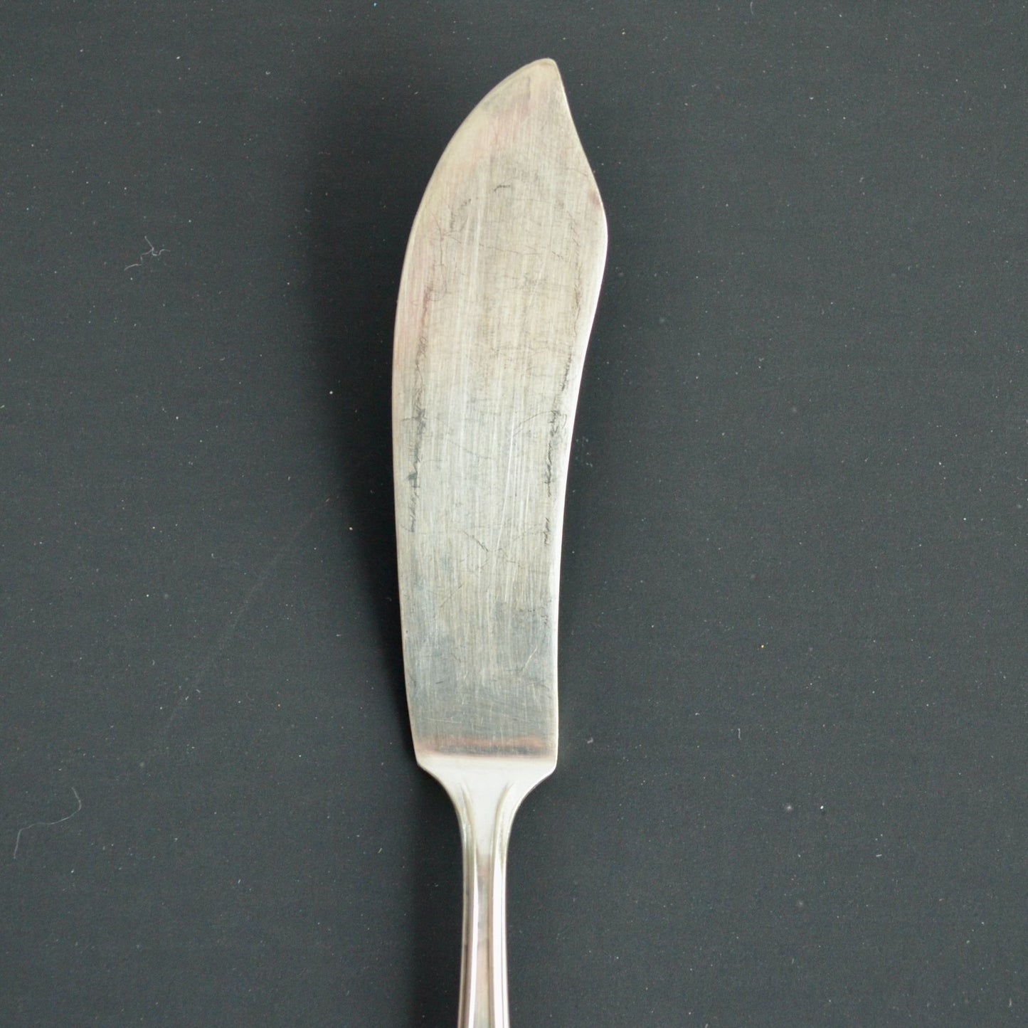 William Rogers & Son AA Pat 77349 Butter Knife Silverplate