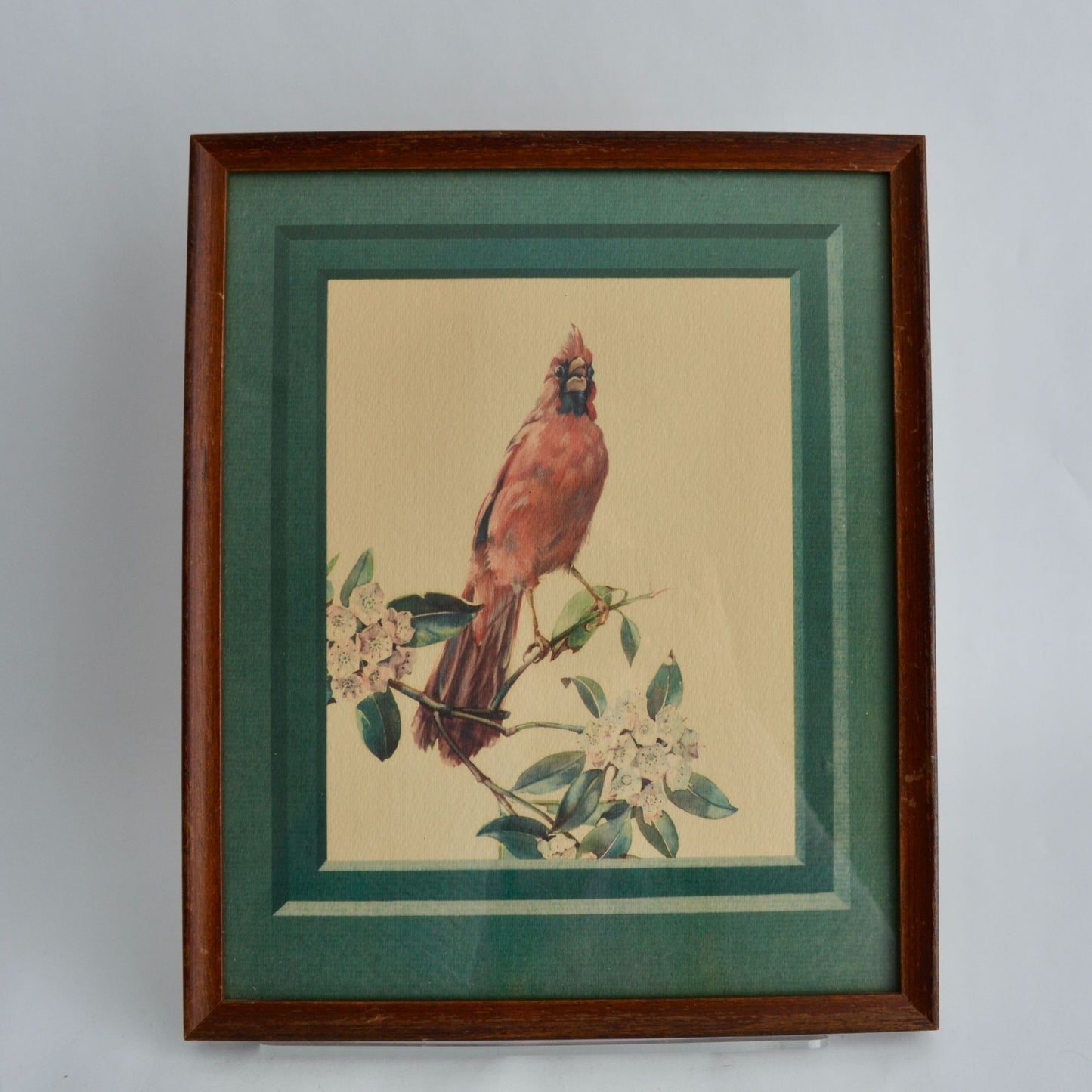 Cecil Golding Cardinal Framed Vintage Print