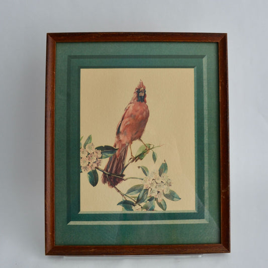 Cecil Golding Cardinal Framed Vintage Print