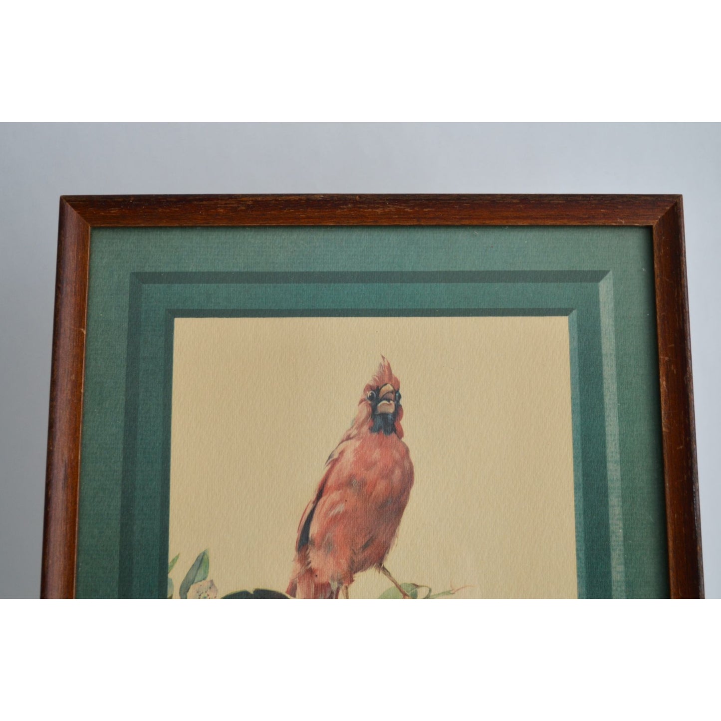 Cecil Golding Cardinal Framed Vintage Print
