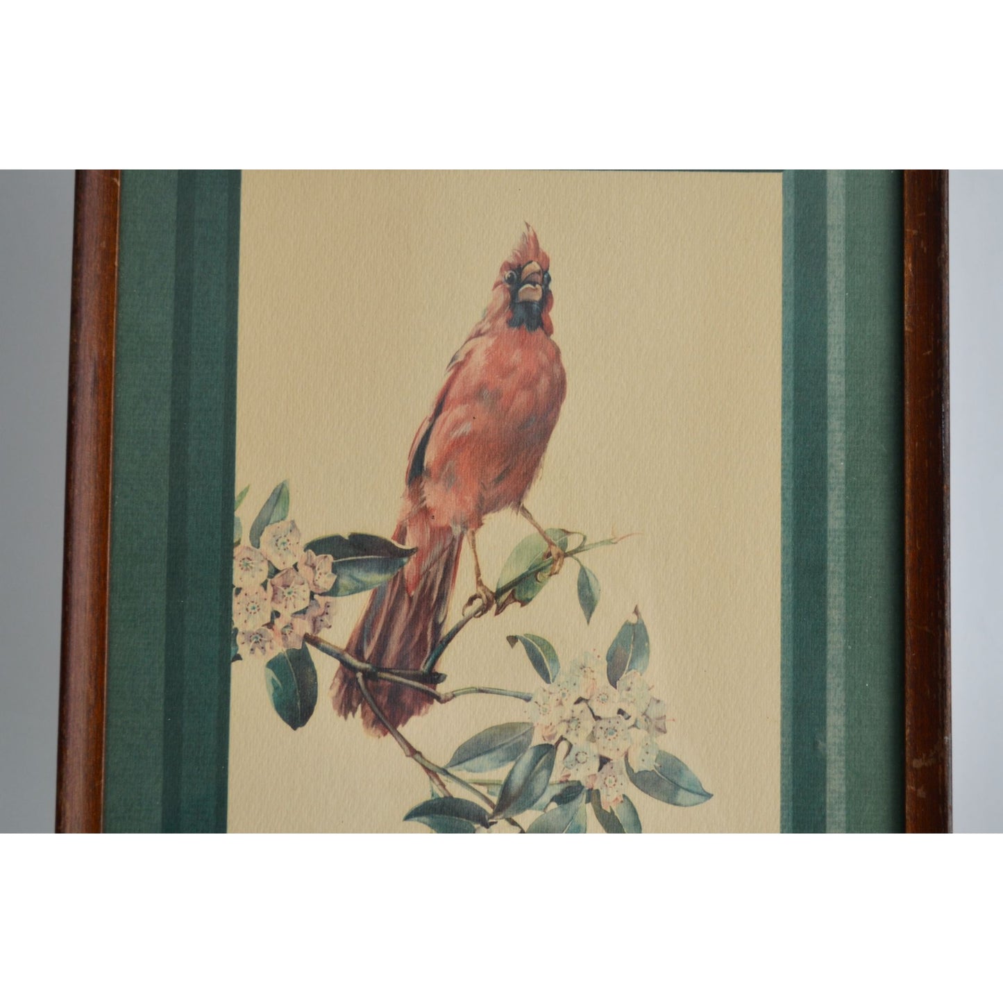 Cecil Golding Cardinal Framed Vintage Print