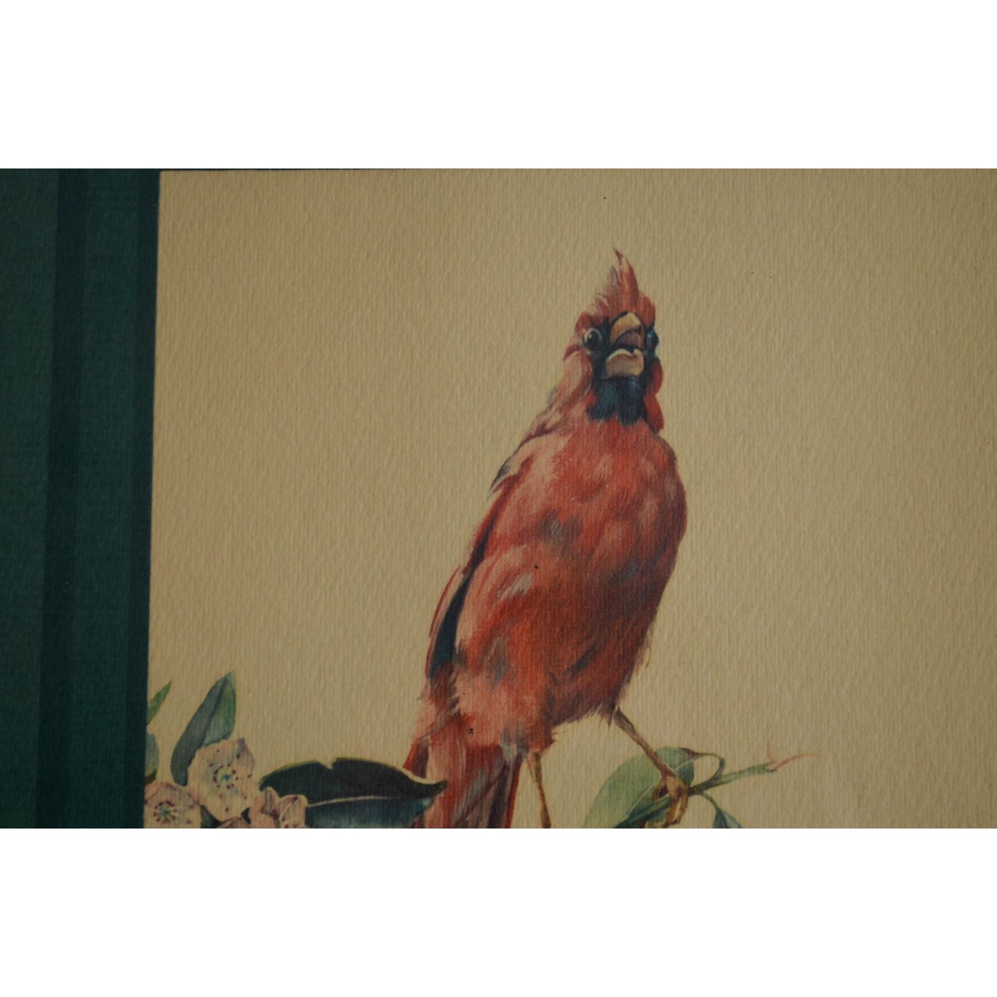 Cecil Golding Cardinal Framed Vintage Print