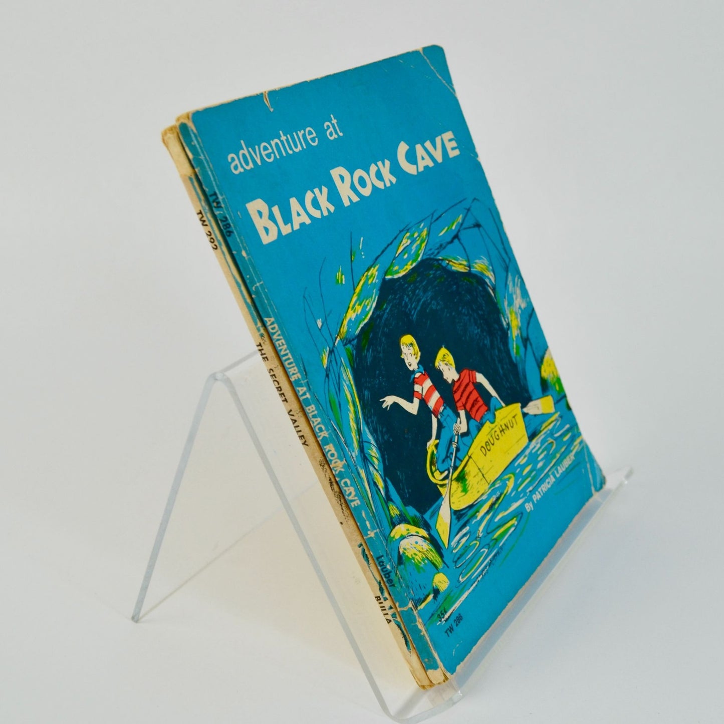 The Secret Valley Adventure at Black Rock Cave Books Lot of 2 Vintage