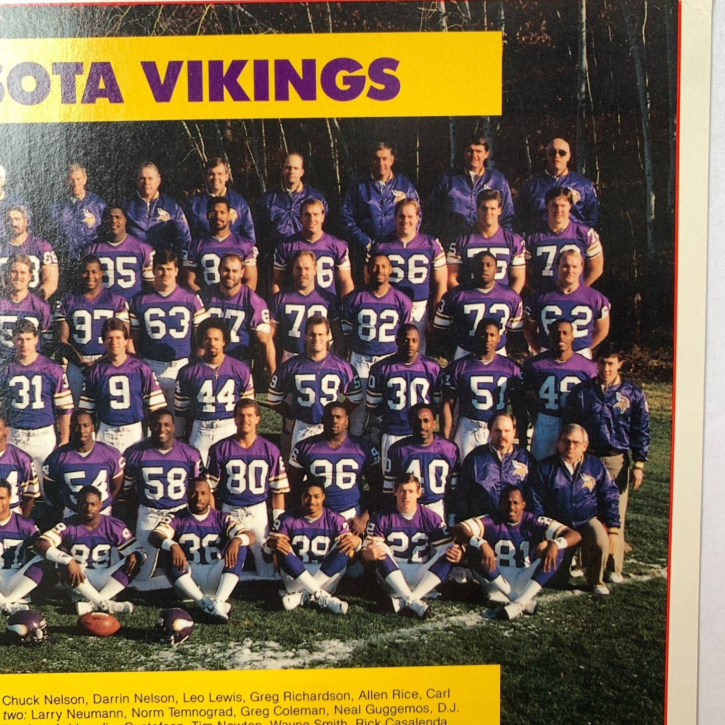 1987 Minnesota Vikings Team Photo Photograph 8 x 10