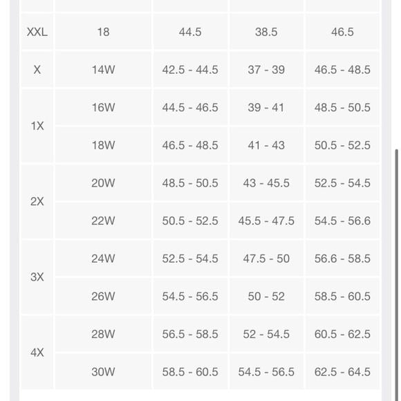 Wild Fable High Rise Distressed Skinny White Jeans 22W