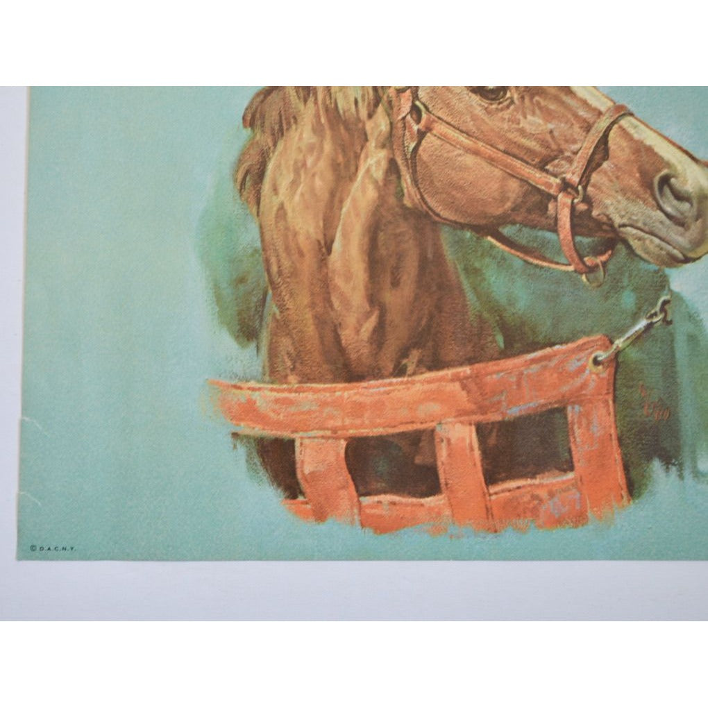 Donald Art Company Litho Print Horse 12 x 9"
