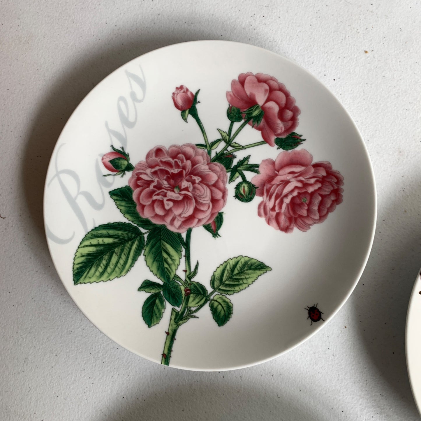 Pier 1 Imports Floral Salad Luncheon Plates