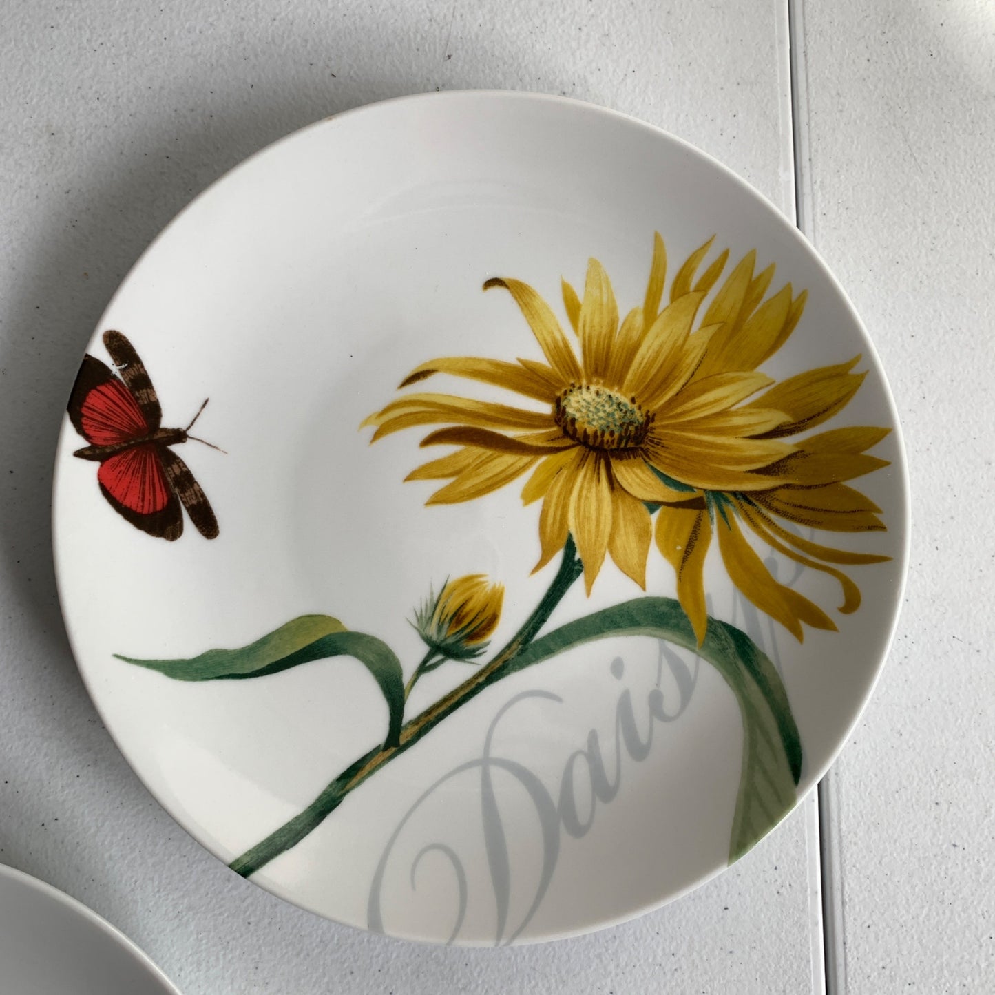 Pier 1 Imports Floral Salad Luncheon Plates