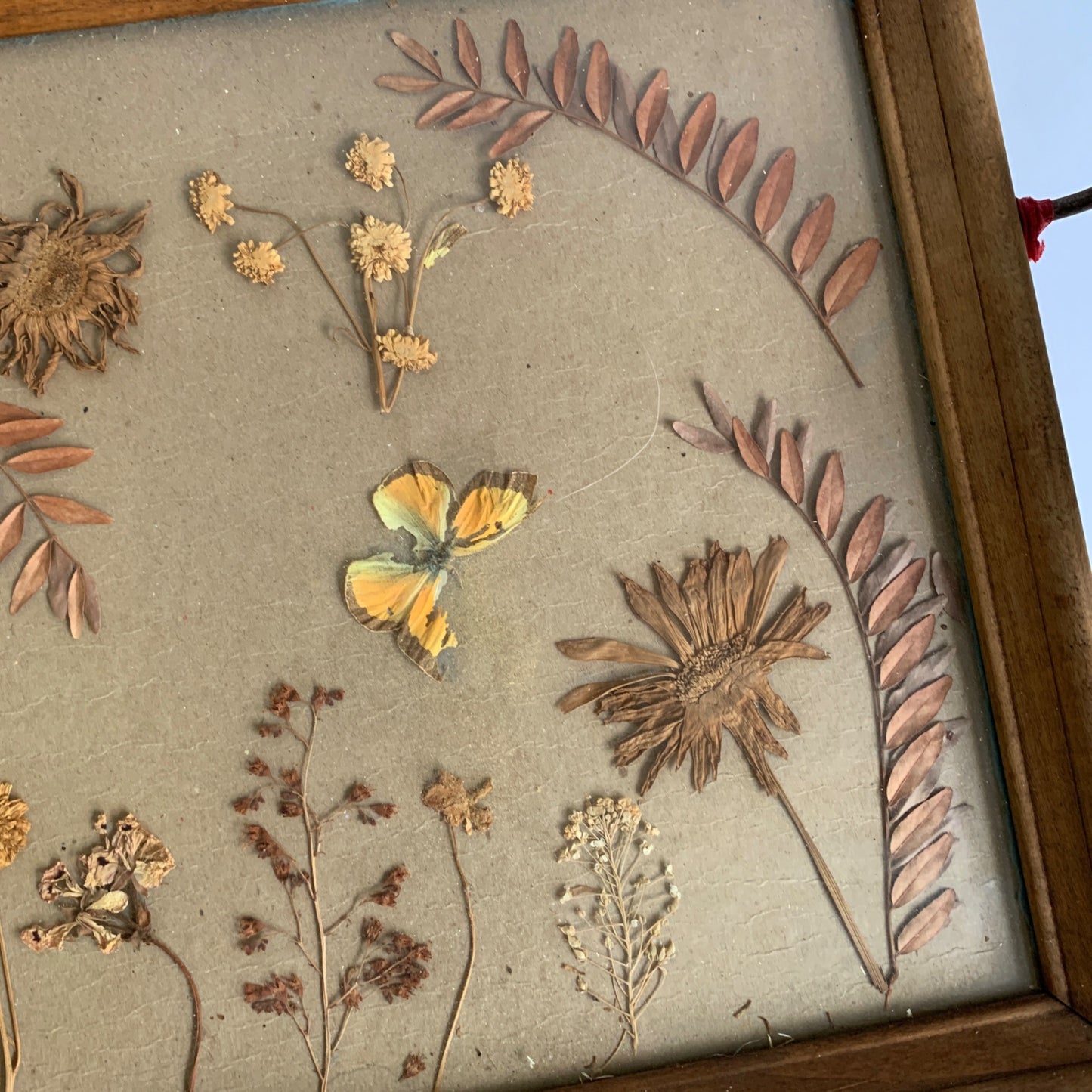 Vintage Wood Handled Serving Tray Pressed Flowers Butterfly Glass 1960s