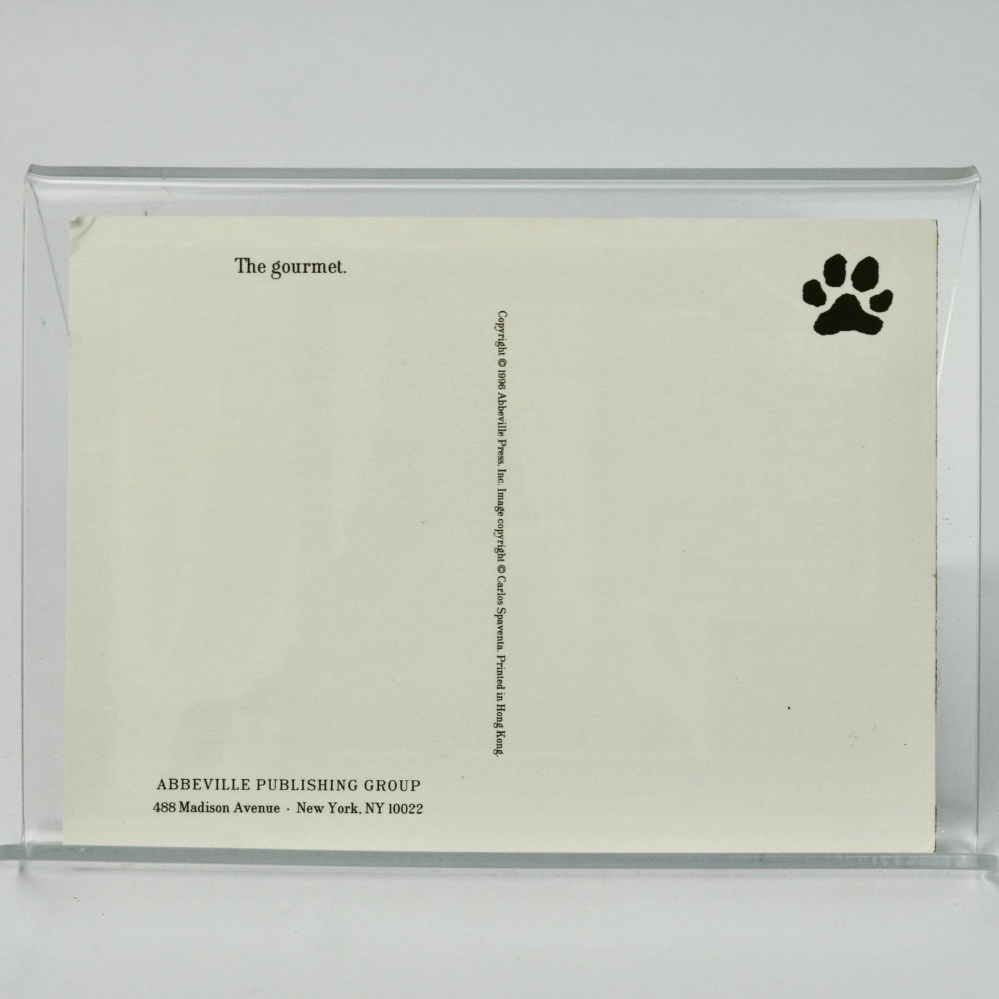 1996 Abbeville Cat Postcard Cat in Window