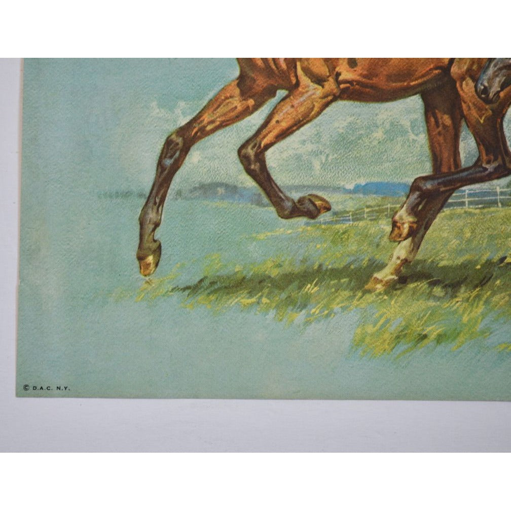 Donald Art Company Litho Print Horse 12 x 9"