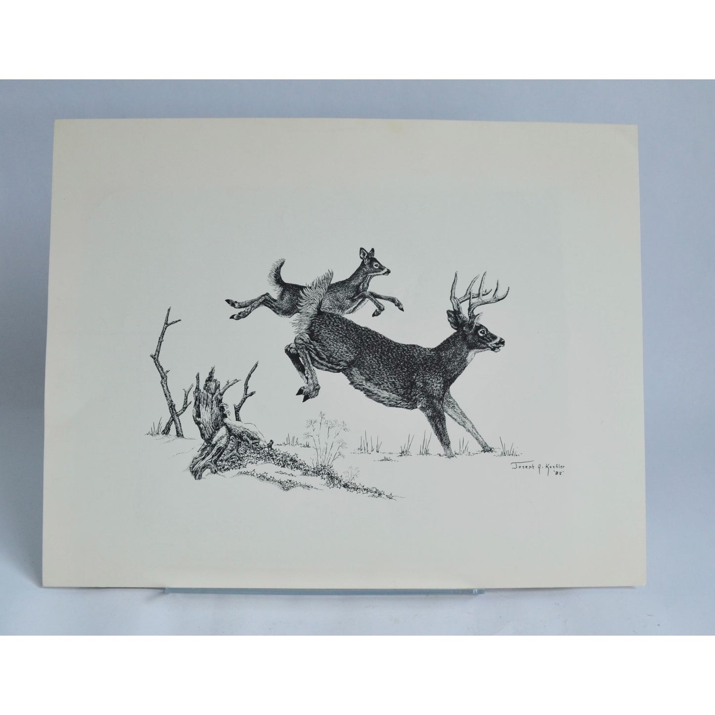 1982 Joseph A. Kuefler Buck Doe Running Print 14 x 11"