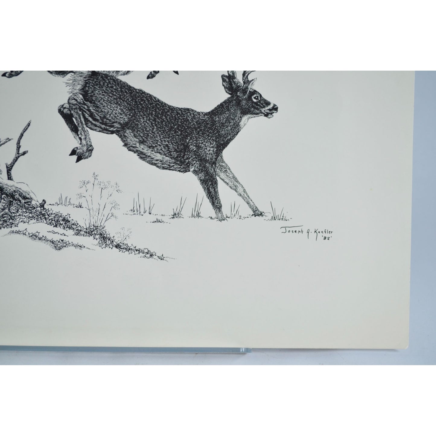 1982 Joseph A. Kuefler Buck Doe Running Print 14 x 11"