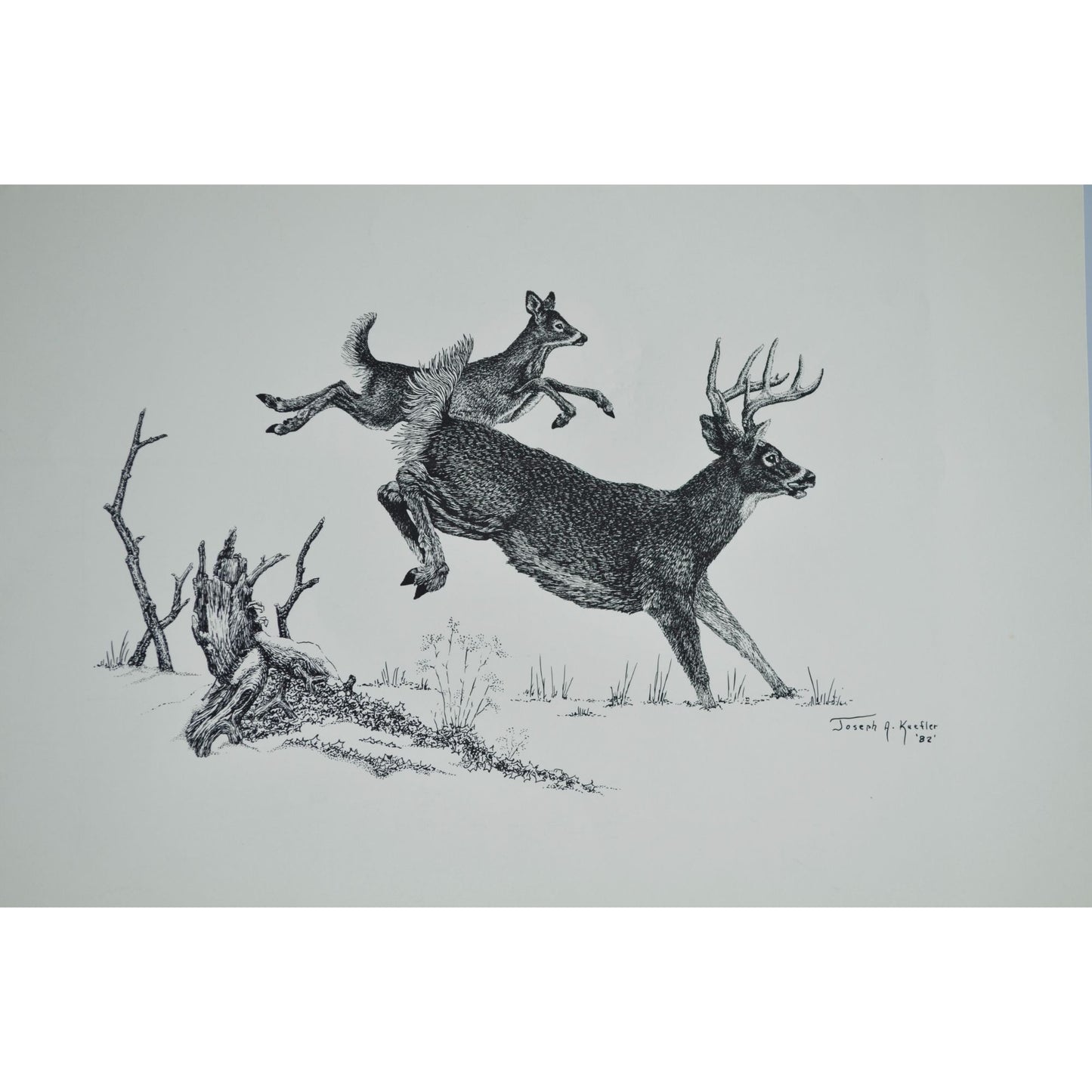 1982 Joseph A. Kuefler Buck Doe Running Print 14 x 11"